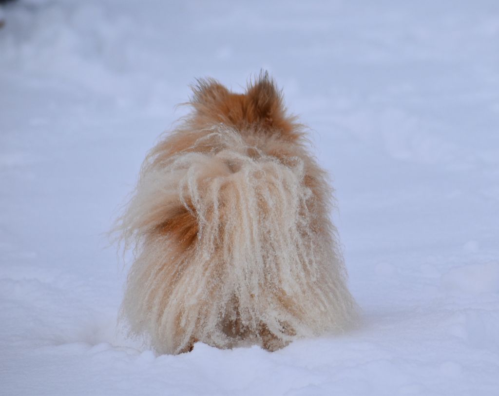 dolyazhu Pedgi aka tina turner