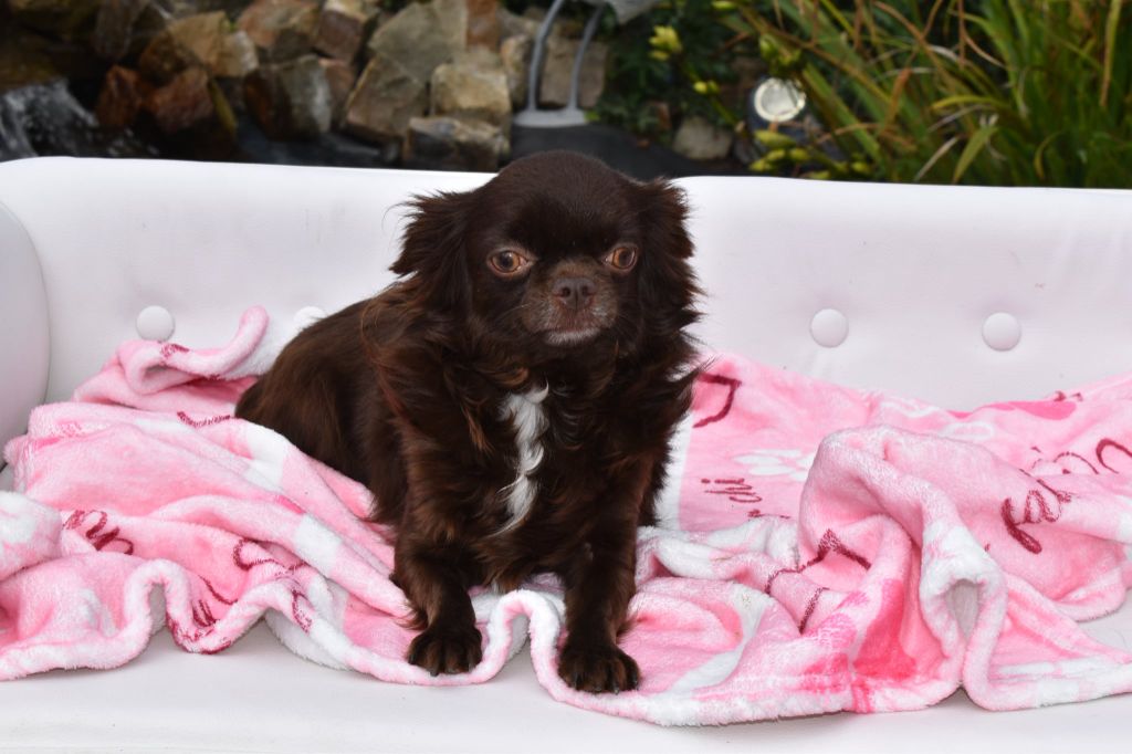 Wilona My Fair Chi