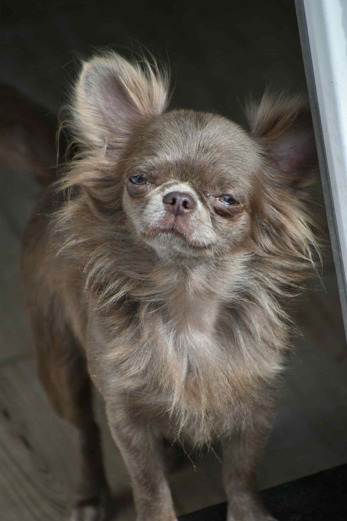 Rebecca (Sans Affixe)