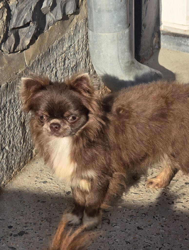 Yunona best alias ebony (Sans Affixe)