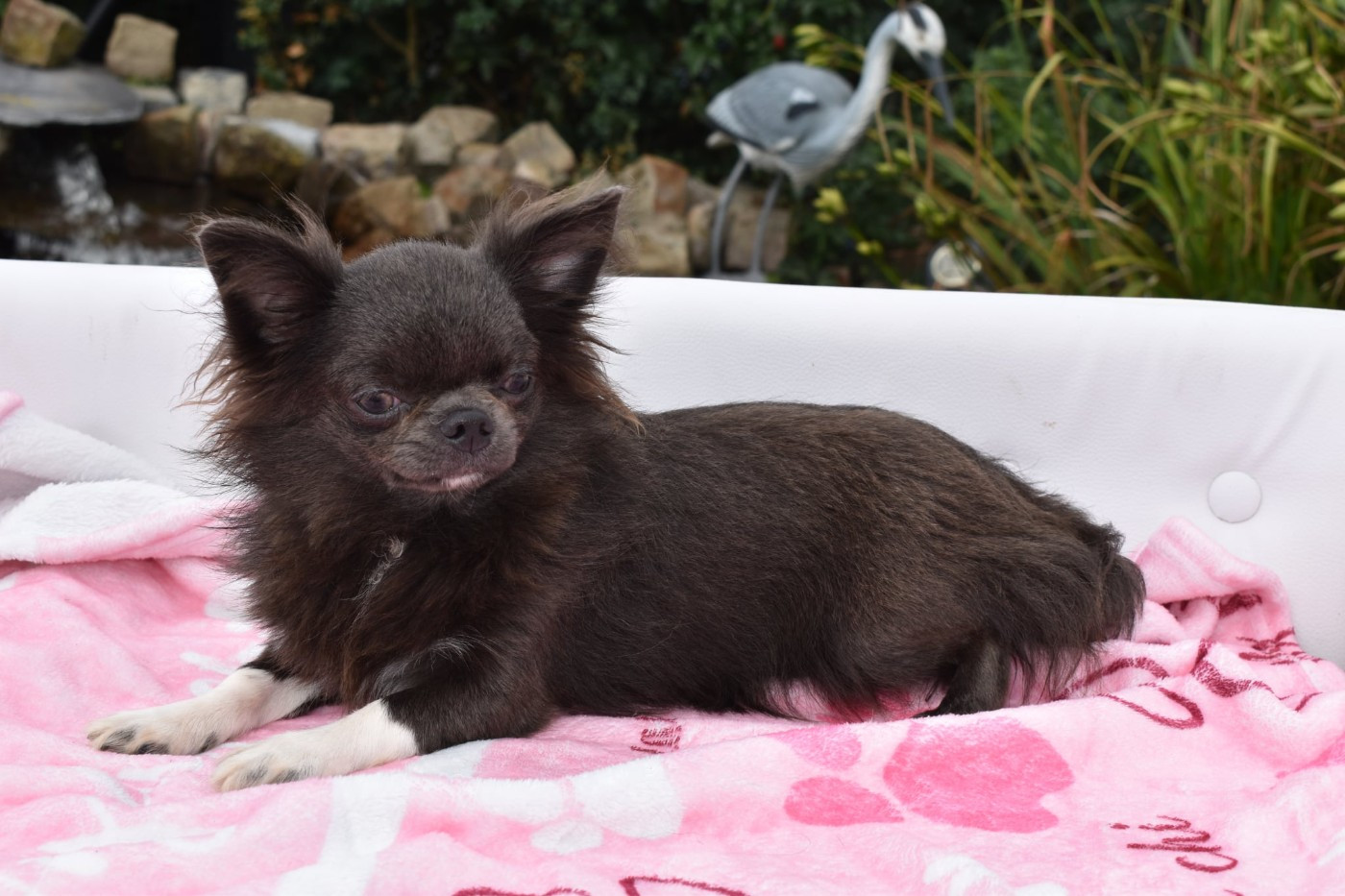 livia pache Yudzhina alias Jenny