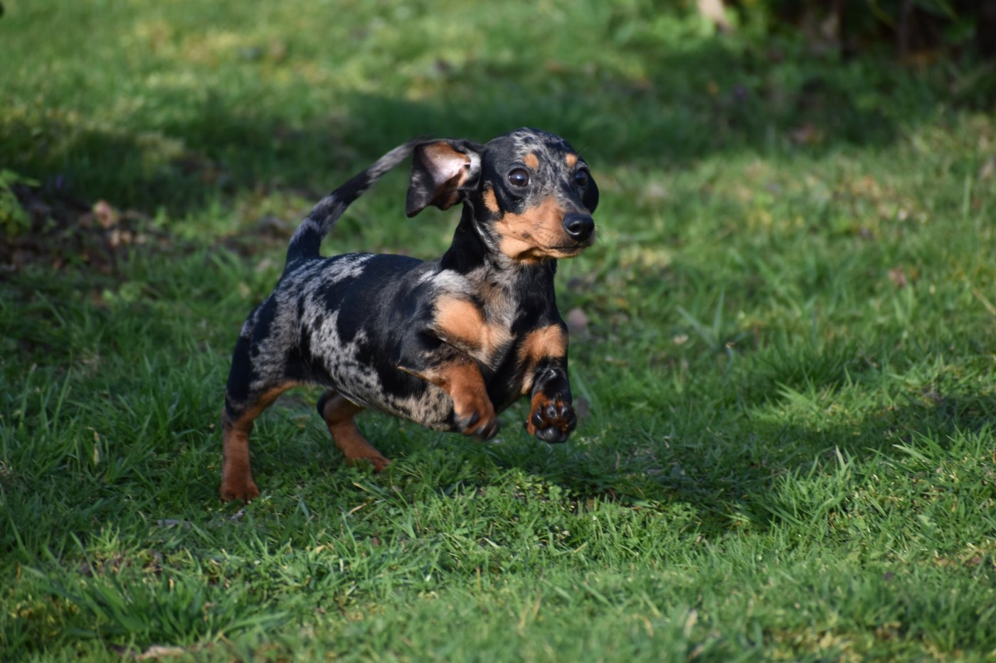 Neri alias Naomi Kharkovskyi talisman